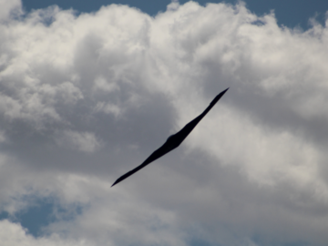 P E Systems Dayton Wins B-2 Program Contract