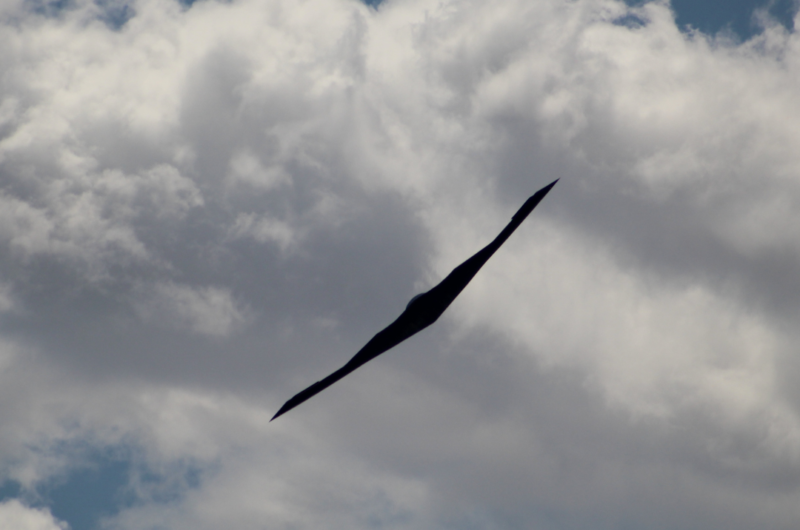P E Systems Dayton Wins B-2 Program Contract